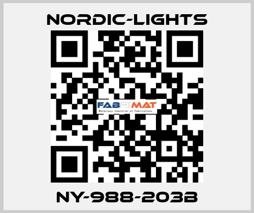 NY-988-203B nordic-lights