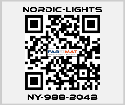 NY-988-204B nordic-lights