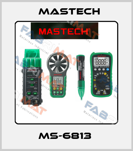 MS-6813  Mastech