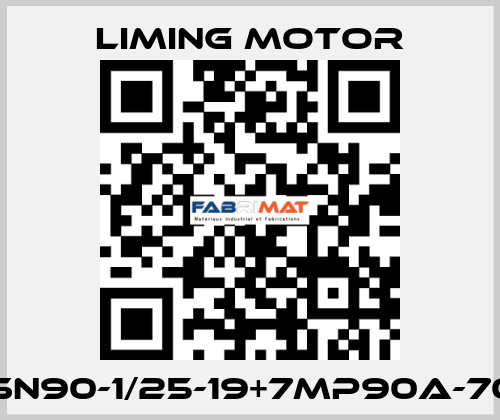 LM-SN90-1/25-19+7MP90A-70-A2 Liming Motor