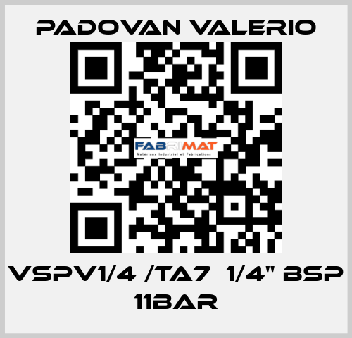 VSPV1/4 /TA7  1/4" BSP 11bar PADOVAN VALERIO