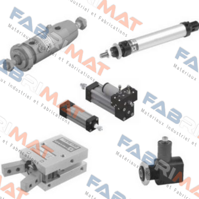 RG1540/0004 Pneumax