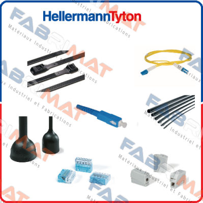 111-93019 / T30R-PA66V0-WH Hellermann Tyton