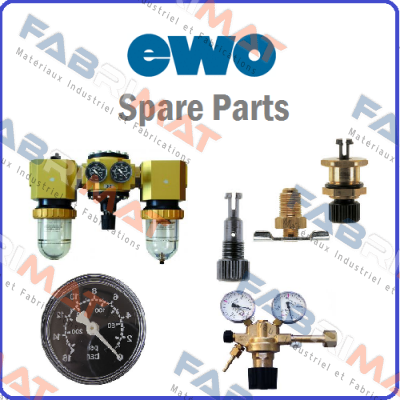 Type 351 Ewo