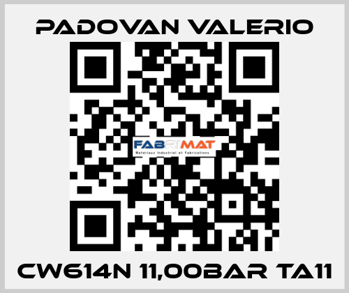 CW614N 11,00BAR TA11 PADOVAN VALERIO