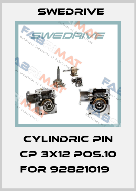 Cylindric pin CP 3x12 pos.10 for 92821019   Swedrive