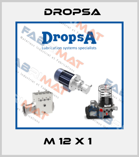 M 12 X 1  Dropsa