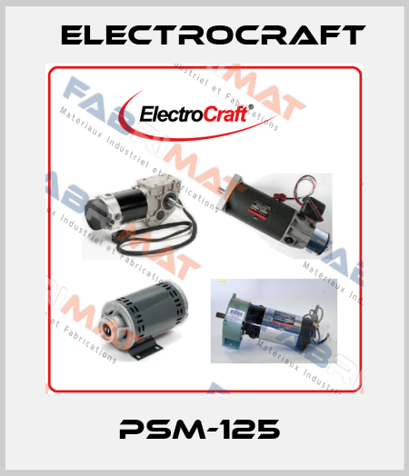 PSM-125  ElectroCraft