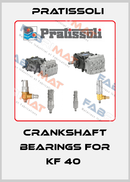 crankshaft bearings for KF 40  Pratissoli
