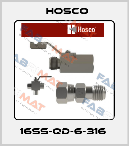 16SS-QD-6-316  Hosco