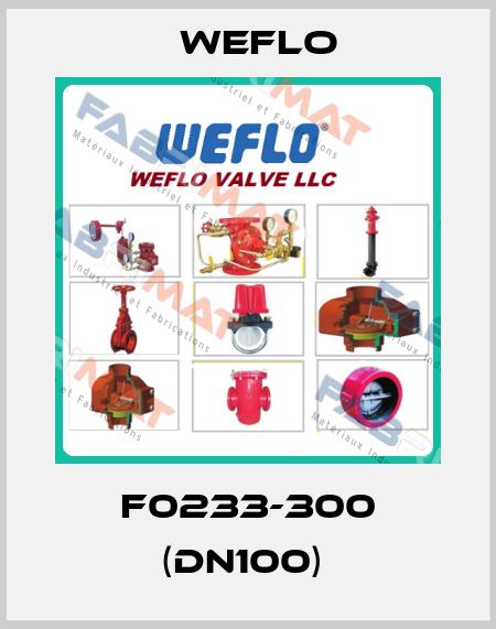 F0233-300 (DN100)  Weflo