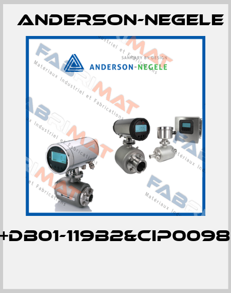 C003+DB01-119B2&CIP00987_QIC  Anderson-Negele