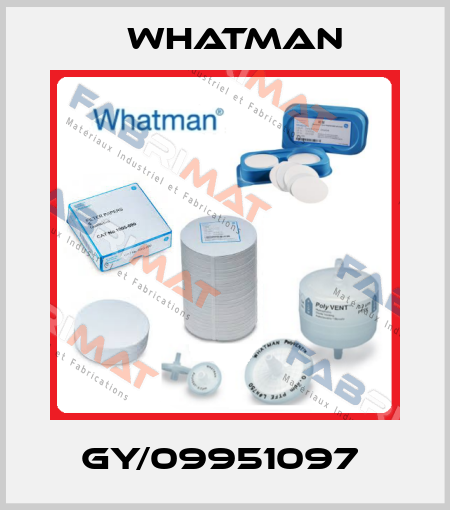 GY/09951097  Whatman