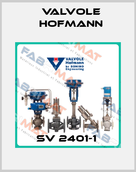 SV 2401-1  Valvole Hofmann
