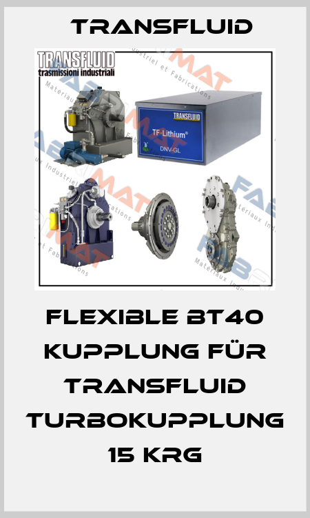 Flexible BT40 Kupplung für Transfluid Turbokupplung 15 KRG Transfluid