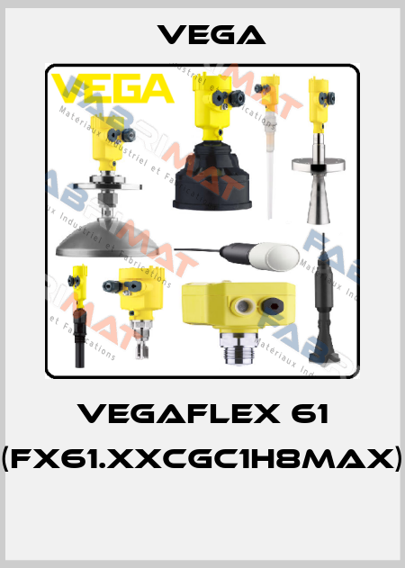 VEGAFLEX 61 (FX61.XXCGC1H8MAX)  Vega