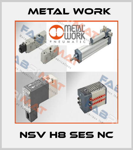 NSV H8 SES NC Metal Work