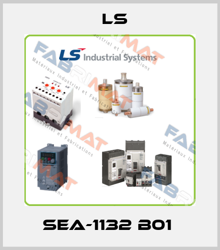 SEA-1132 B01  LS