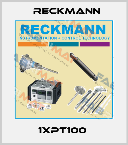 1XPT100  Reckmann