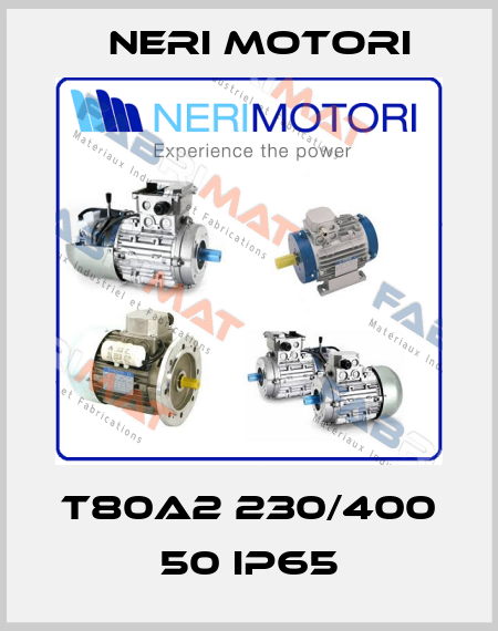 T80A2 230/400 50 IP65 Neri Motori