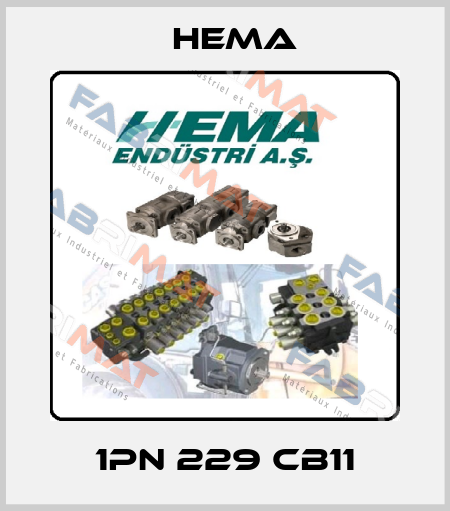 1PN 229 CB11 Hema