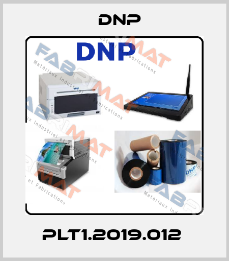 PLT1.2019.012  DNP