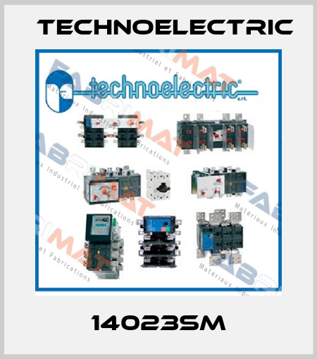 14023SM Technoelectric