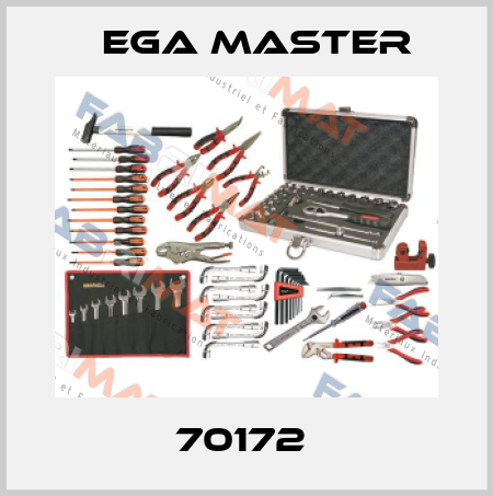 70172  EGA Master