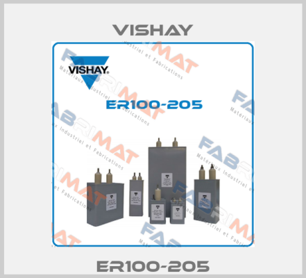 ER100-205 Vishay