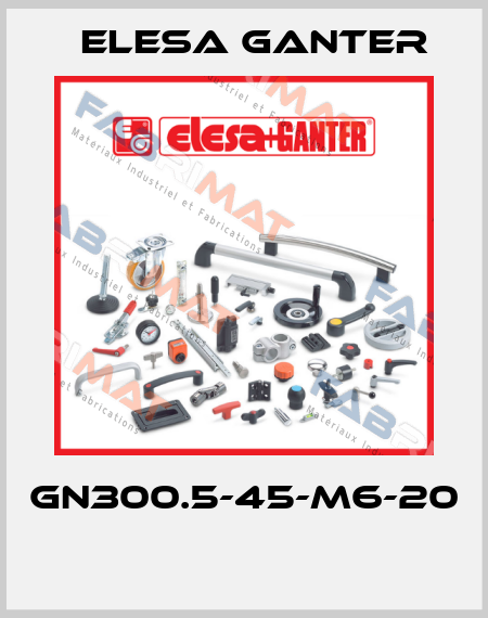 GN300.5-45-M6-20  Elesa Ganter