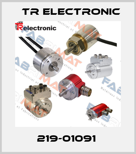 219-01091  TR Electronic