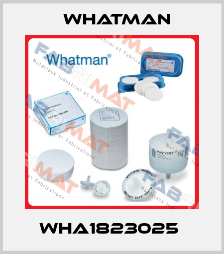 WHA1823025  Whatman