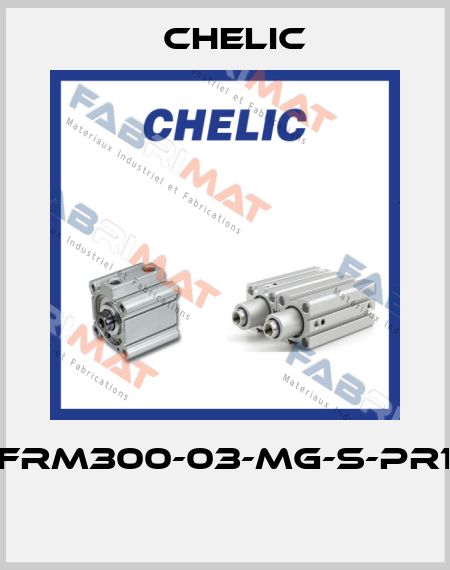 NFRM300-03-MG-S-PR10  Chelic