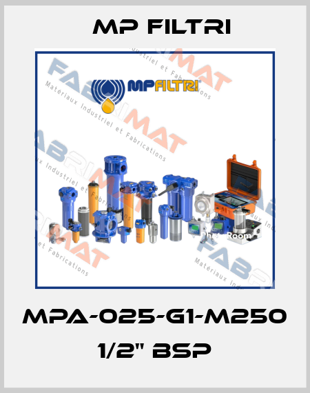 MPA-025-G1-M250   1/2" BSP MP Filtri