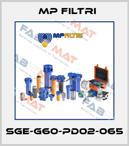 SGE-G60-PD02-065 MP Filtri