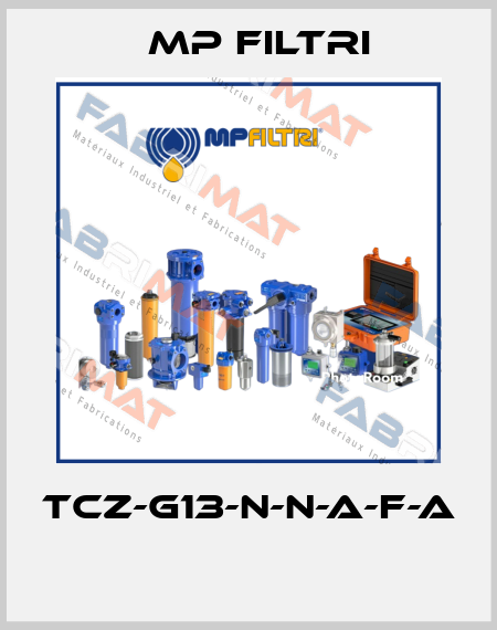 TCZ-G13-N-N-A-F-A  MP Filtri