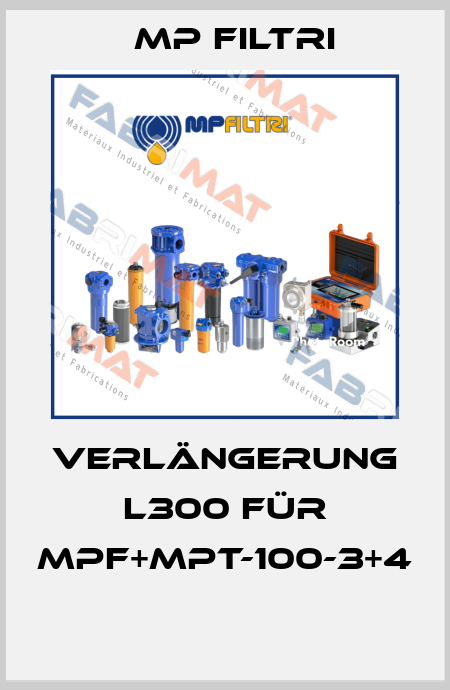 Verlängerung L300 für MPF+MPT-100-3+4  MP Filtri