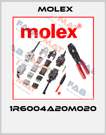 1R6004A20M020  Molex