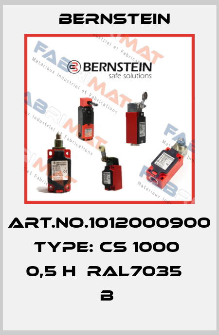 Art.No.1012000900 Type: CS 1000  0,5 H  RAL7035      B  Bernstein