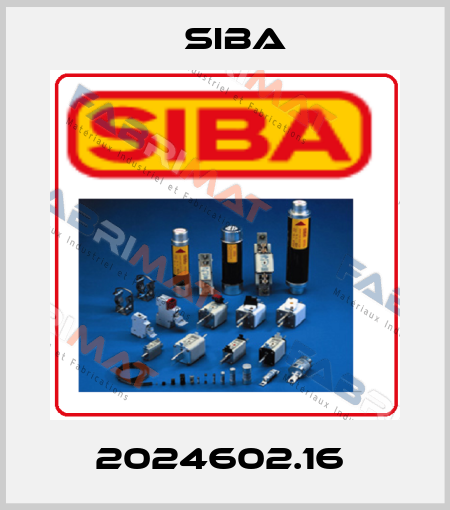 2024602.16  Siba