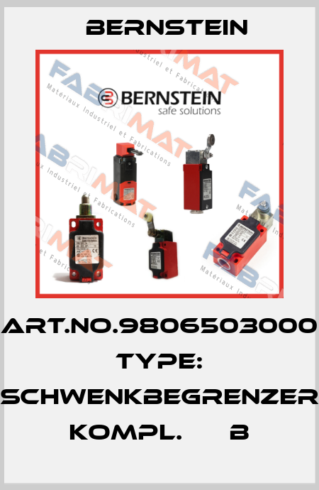 Art.No.9806503000 Type: SCHWENKBEGRENZER KOMPL.      B Bernstein