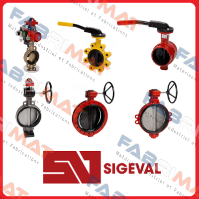 202572W020000 Sigeval
