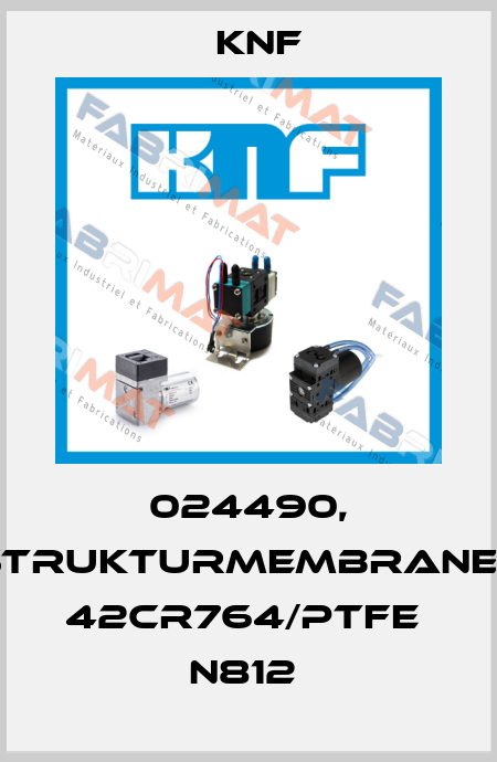 024490, STRUKTURMEMBRANE-1   42CR764/PTFE  N812  KNF
