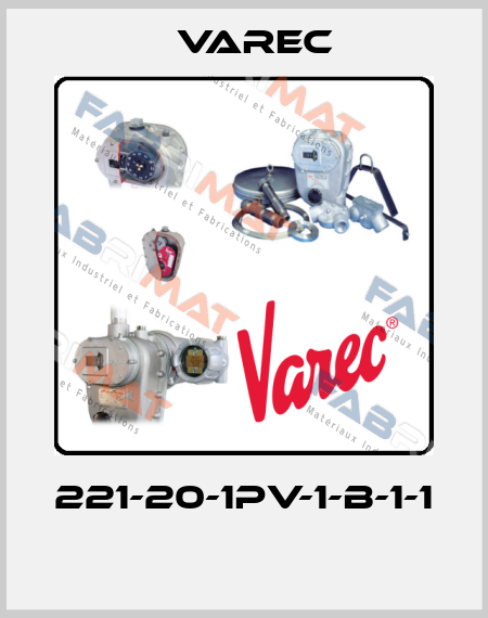 221-20-1PV-1-B-1-1  Varec