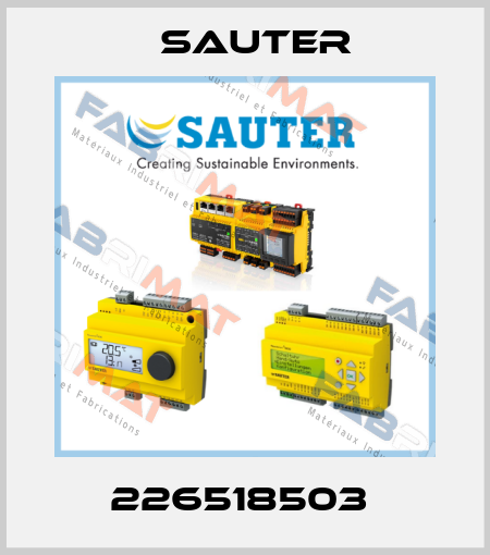226518503  Sauter