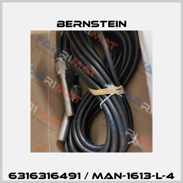 6316316491 / MAN-1613-L-4 Bernstein