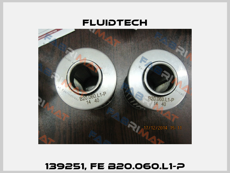 139251, FE B20.060.L1-P Fluidtech