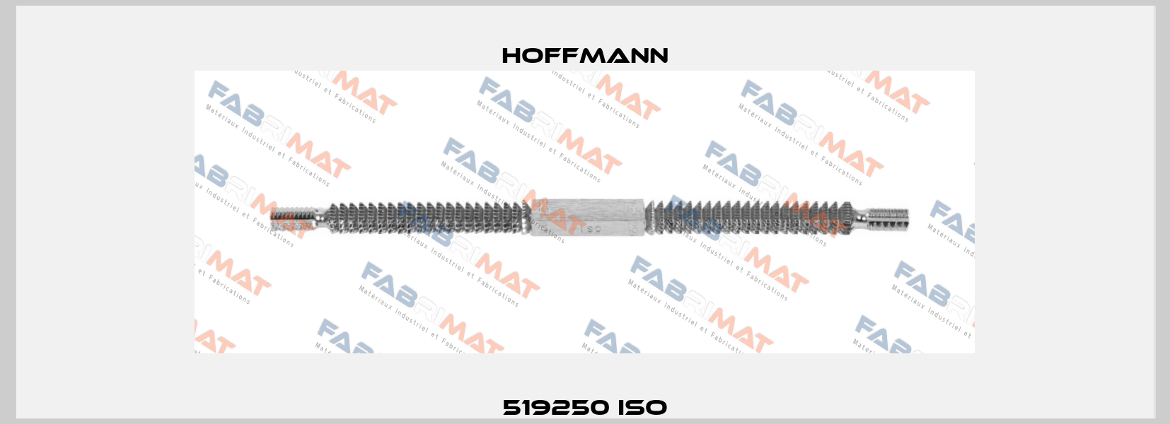 519250 ISO Hoffmann