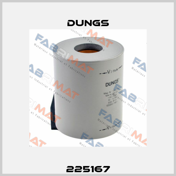 225167 Dungs