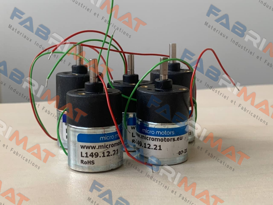 L149.12.21 Micro Motors